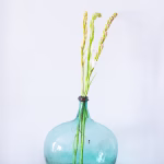 Lo que la primavera le hace a tu mente (y cómo tu hogar puede amplificarlo)