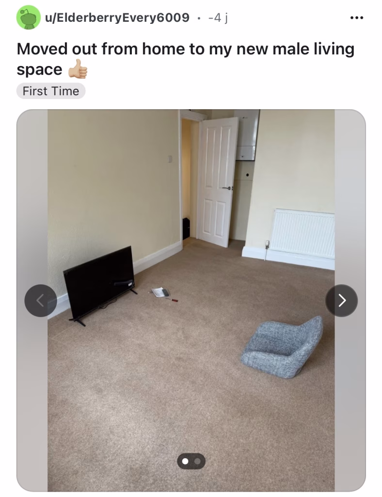 Captura de pantalla del subreddit r/malelivingspace, comunidad de Reddit donde hombres comparten y mejoran la decoración de sus hogares